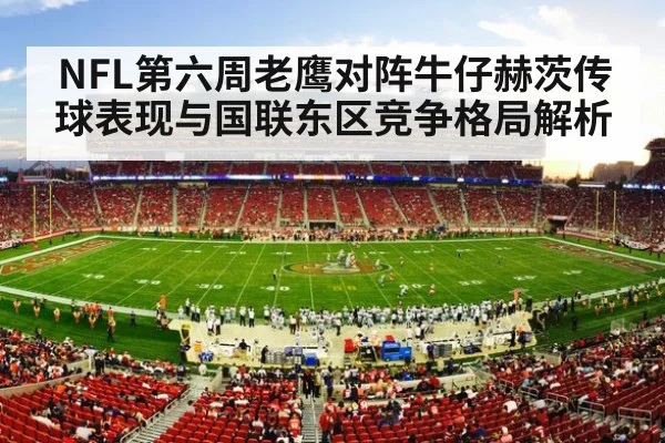 american football stadium crowd
